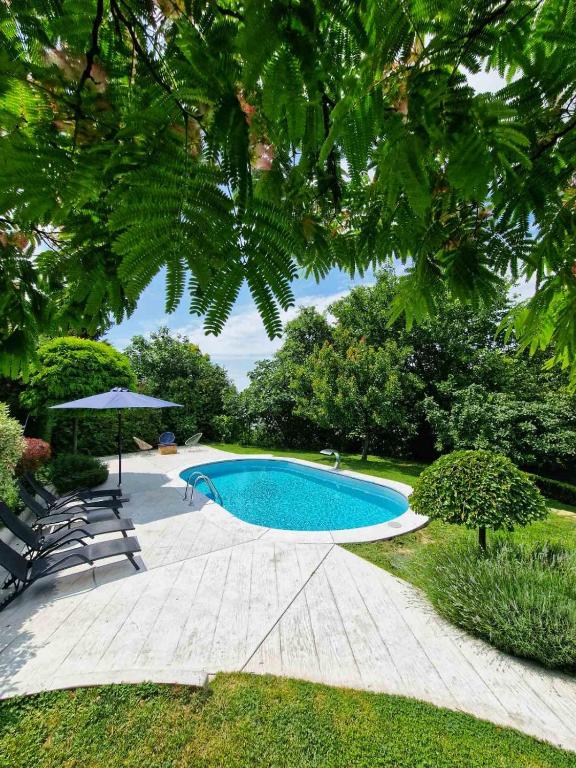 basen z dwoma krzesłami i parasolem w obiekcie Riverside Pool Villa w Nowym Sadzie