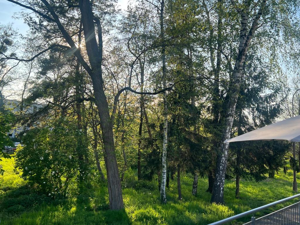 Příroda nedaleko hostelu