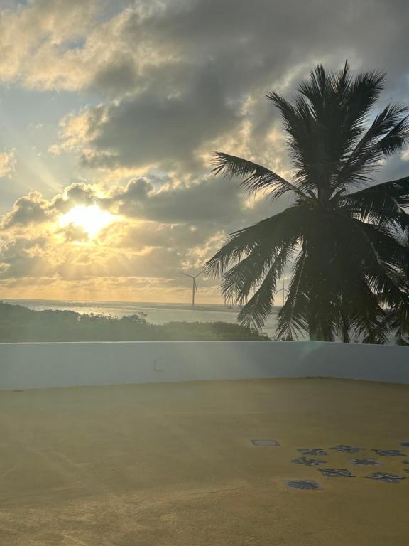 a palm tree on a beach with the sunset at Casa Bela Vida in Fortim