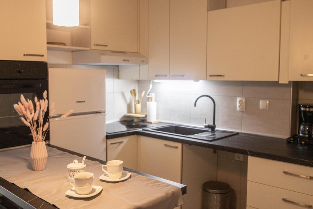 Kuchyňa alebo kuchynka v ubytovaní Apartman „Bernarda”
