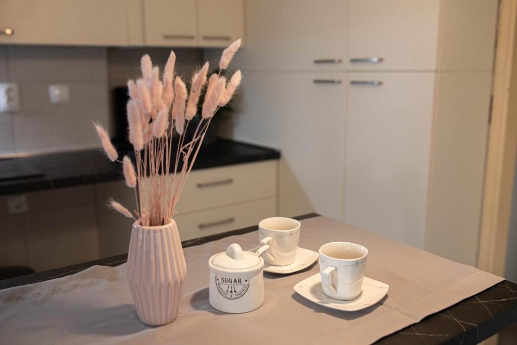 Príslušenstvo na prípravu kávy alebo čaju v ubytovaní Apartman „Bernarda”