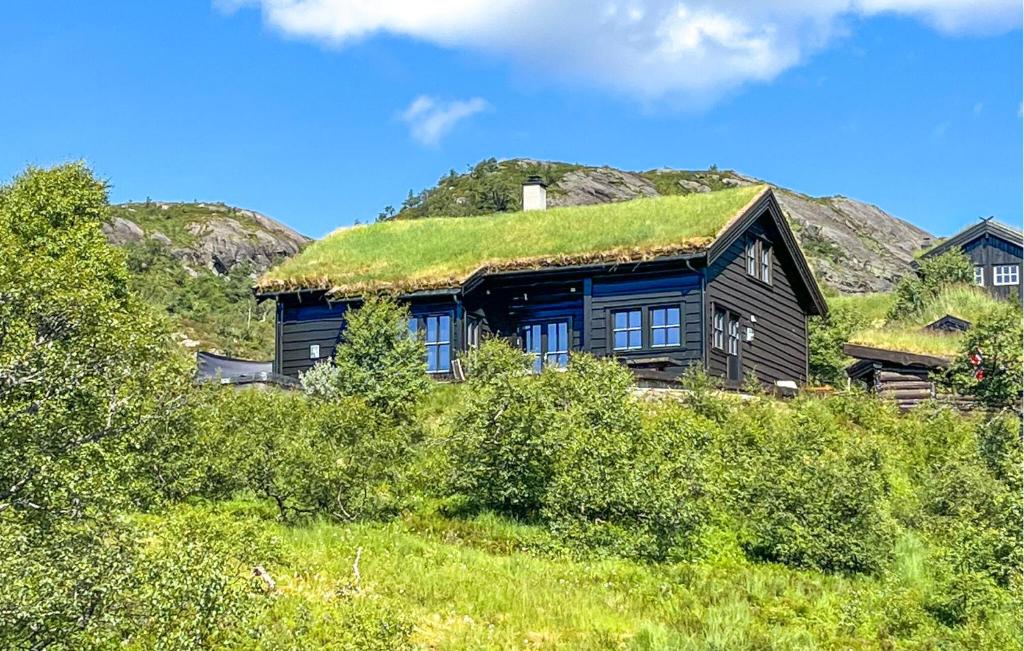 a house with a grass roof on top of a hill at Amazing Home In Jøsenfjorden With Sauna in Gullingen