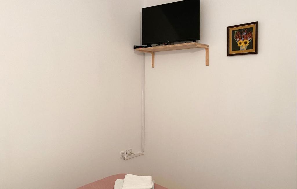 تلفاز و/أو أجهزة ترفيهية في 1 Bedroom Awesome Apartment In Liznjan