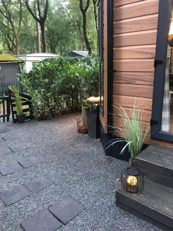 Zahrada ubytování Maison Zeldenrust