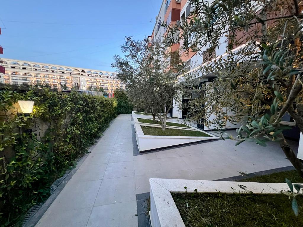 The Wish Garden