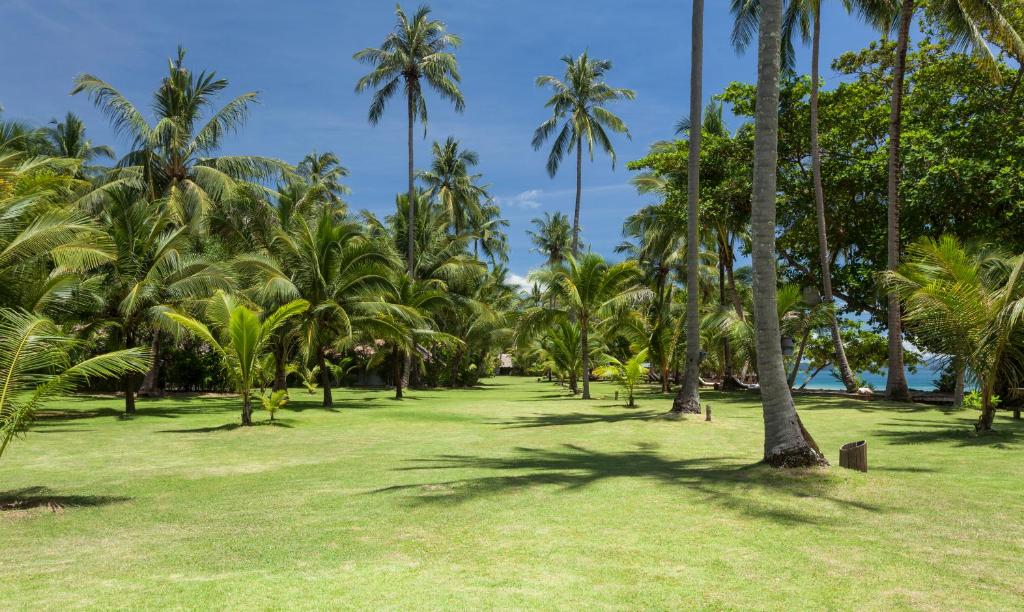 a row of palm trees in a park at Koyao Island Resort in Ko Yao Noi