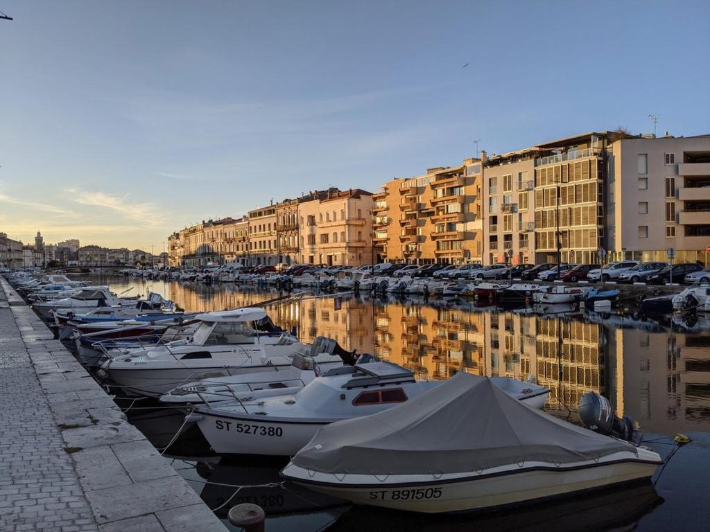un groupe de bateaux amarrés dans un port avec des bâtiments dans l'établissement Appartement Quai de Bosc, à Sète