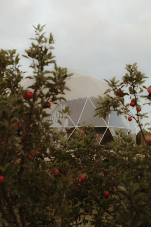 Příroda nedaleko luxury tent