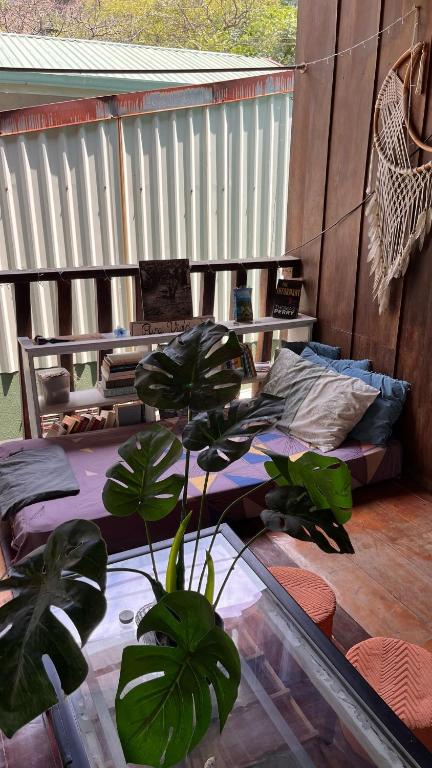 Balkón nebo terasa v ubytování Woodstock Hostel