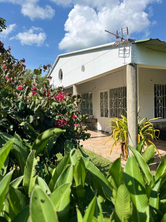 a white building with plants in front of it at Cabaña Yopal - Yopo Resort in Yopal