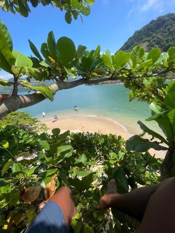 Naturlandskabet i nærheden af båden