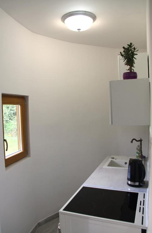Kuchyň nebo kuchyňský kout v ubytování Glamping Bionic healing village