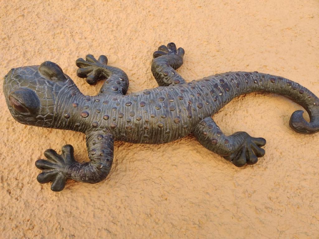 Fotografie z fotogalerie ubytování EL Gecko v destinaci Alcossebre
