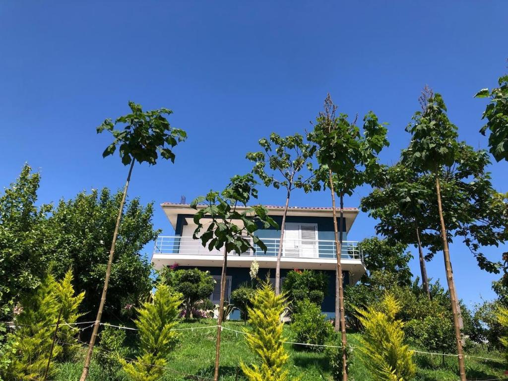 Blue Vila