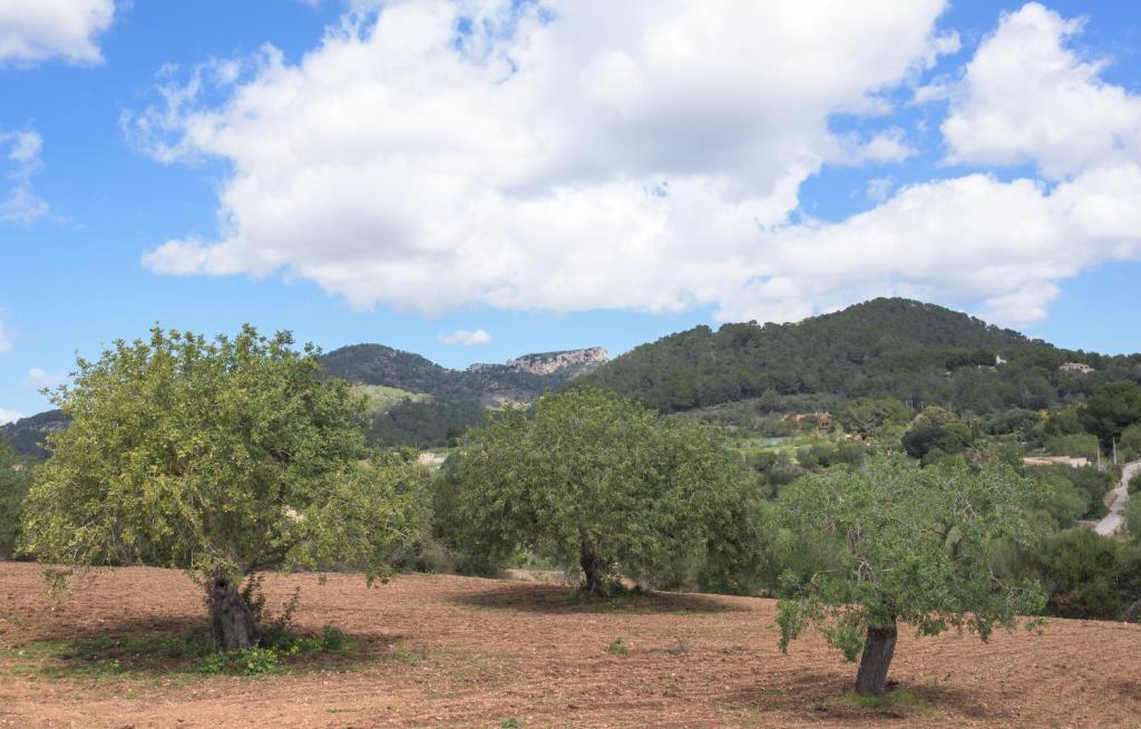 Príroda v okolí vily