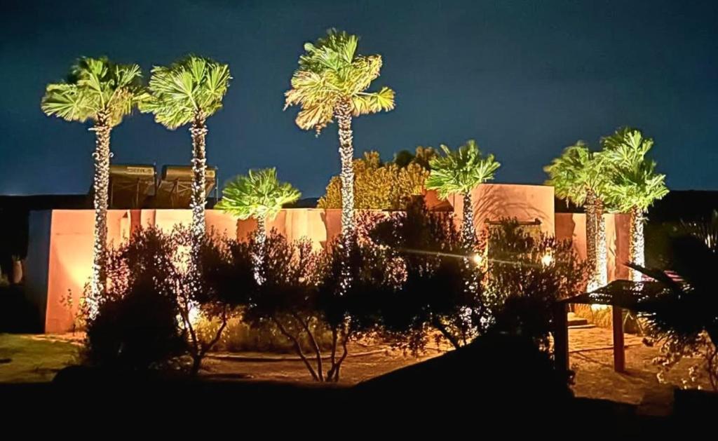 Zahrada ubytování Kasbah Oum Rabia