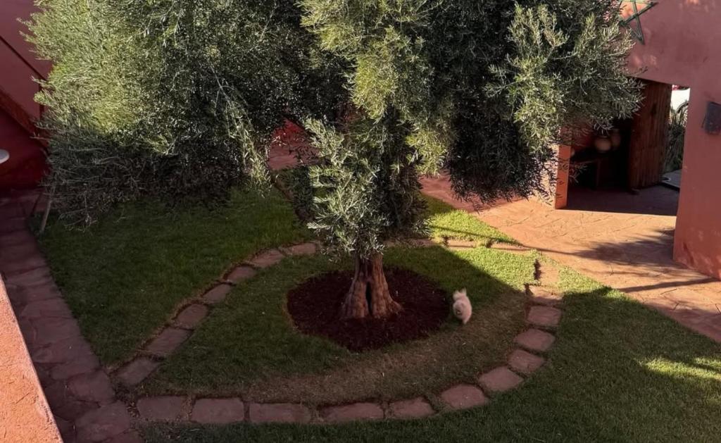 Zahrada ubytování Kasbah Oum Rabia