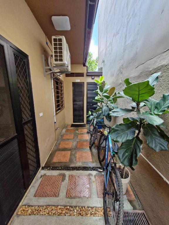 Jízda na kole v ubytování Casa Roberto Transient Room#1 nebo okolí