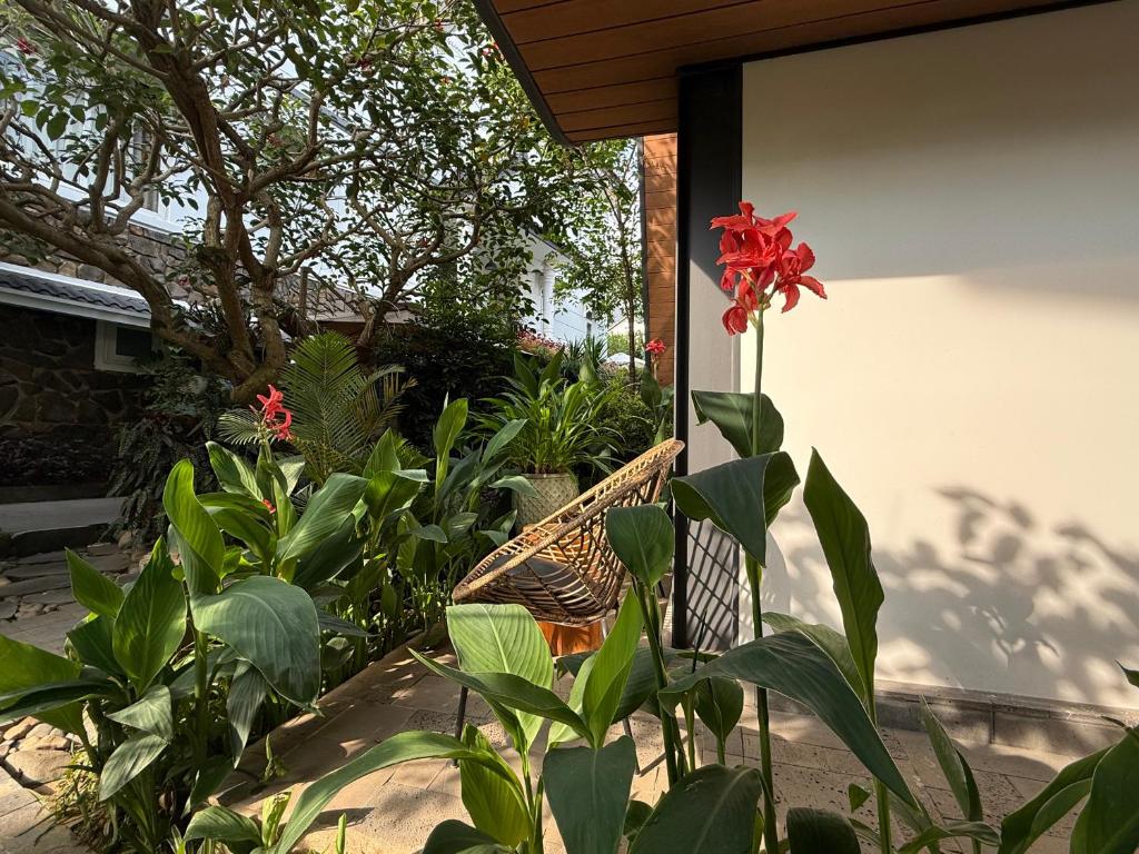 Bach Place Dalat - 14