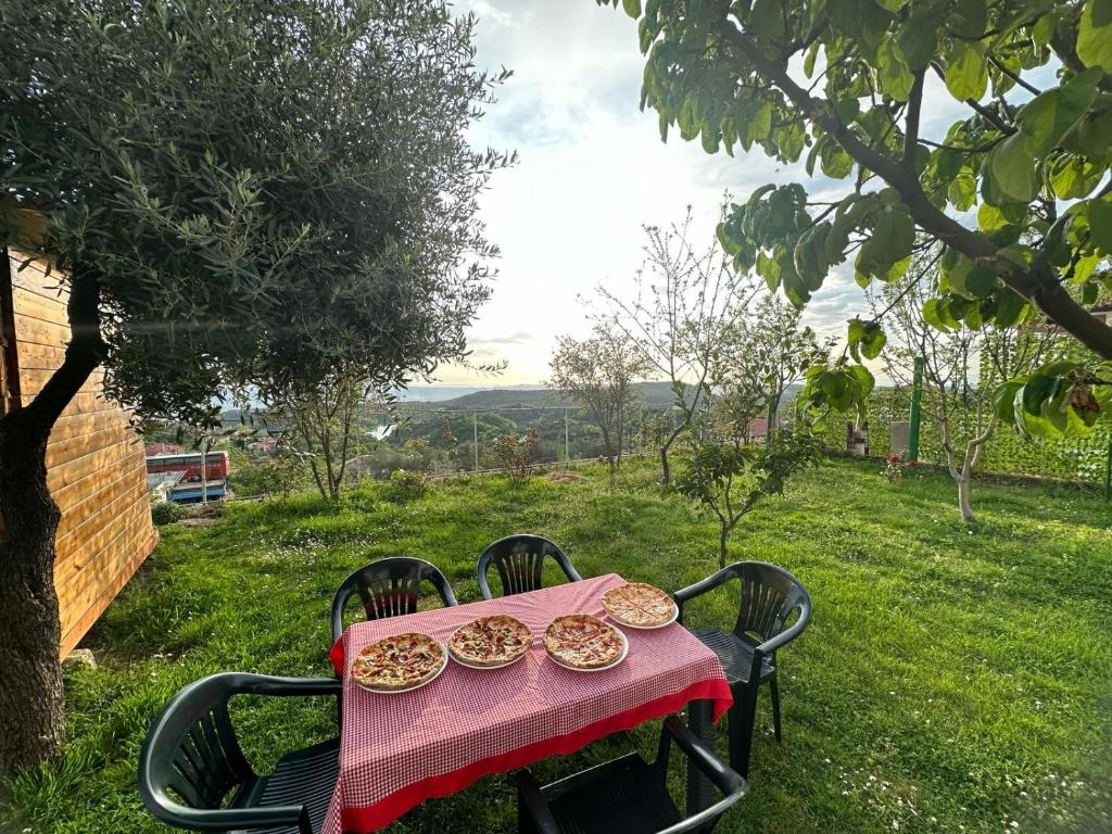 Paesaggio naturale nelle vicinanze dell'affittacamere