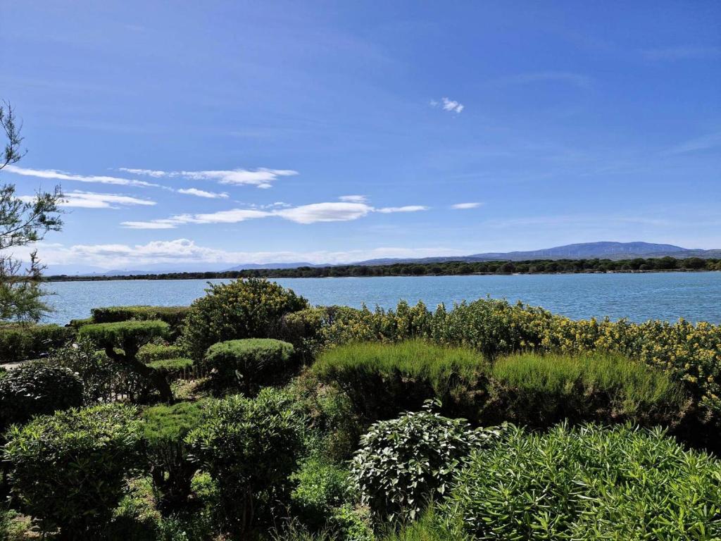 une vue sur une étendue d'eau avec de l'herbe et des buissons dans l'établissement Résidence Le Cezelly - 2 Pièces 4 couchages PORT LEUCATE MAE-6061, à Leucate