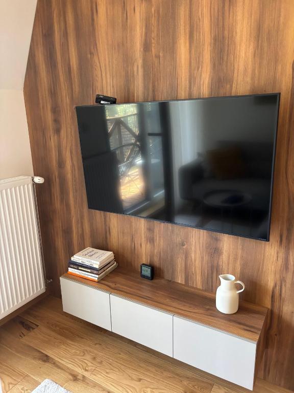 Televisyen dan/atau pusat hiburan di Apartman Green Divčigora