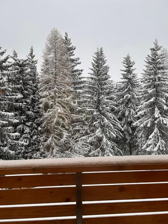 Appartementhaus Bergkristall v zimě