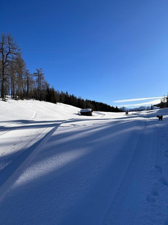 Appartementhaus Bergkristall v zimě