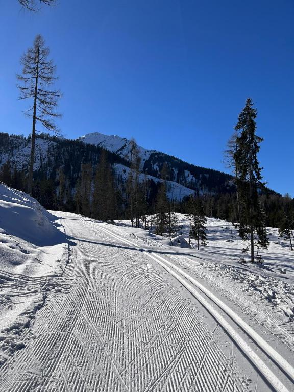 Appartementhaus Bergkristall v zimě