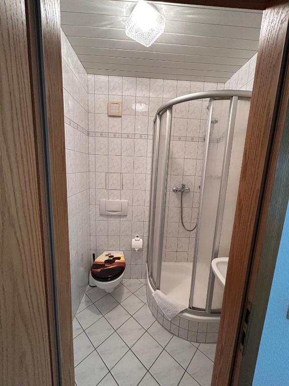 Pension Schwesinger - Single Room