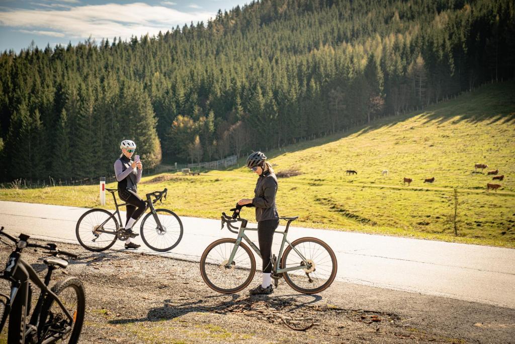 Jazda na bicykli v okolí ubytovania Großes Ferienhaus mit 5 Schlafzimmer & 4 Bäder