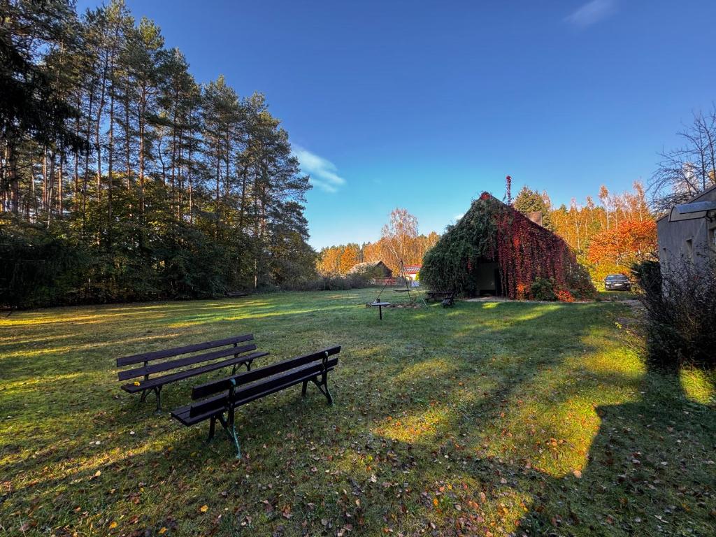 Grassy field with benches and a vine-covered building; serene and sunny.