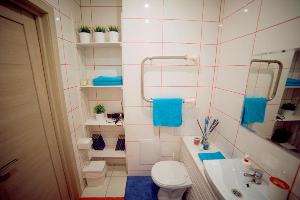 イジェフスクにあるApartment on 7-Podlesnayaのバスルーム(トイレ、洗面台付)