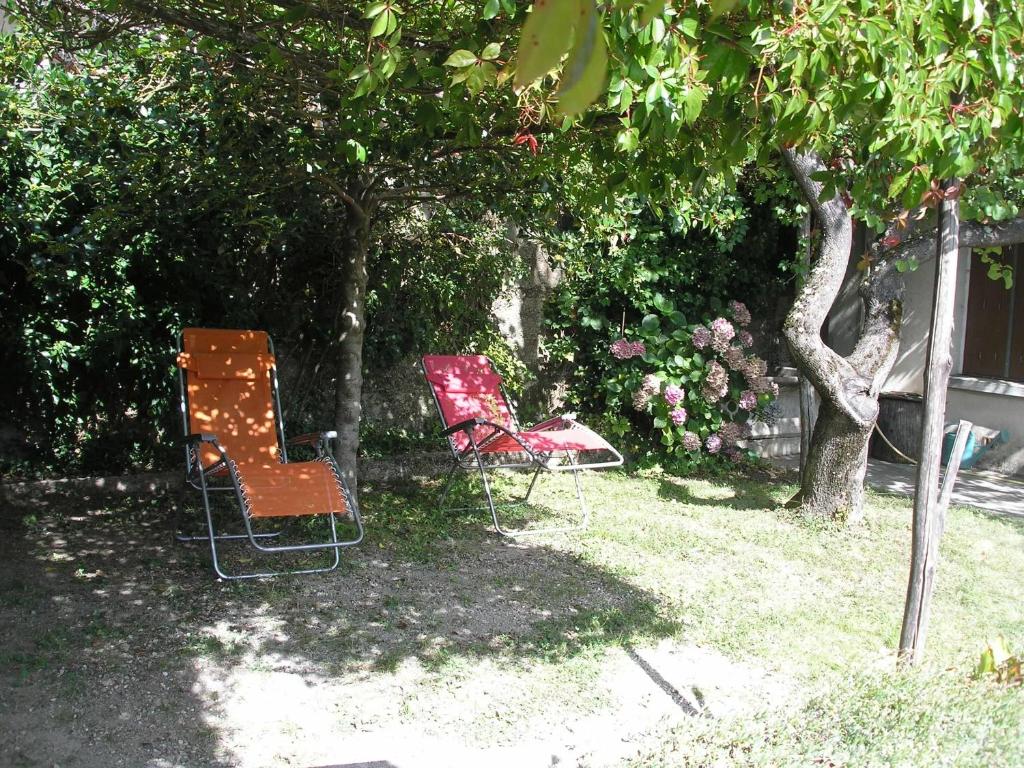 deux chaises assises dans l'herbe sous un arbre dans l'établissement Maison accueillante à Saint-Martin-de-Boubaux, jardin agréable, à Saint-Martin-de-Boubaux
