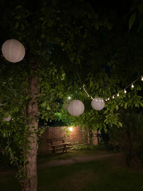 Zahrada ubytování Apartmani SuperStar