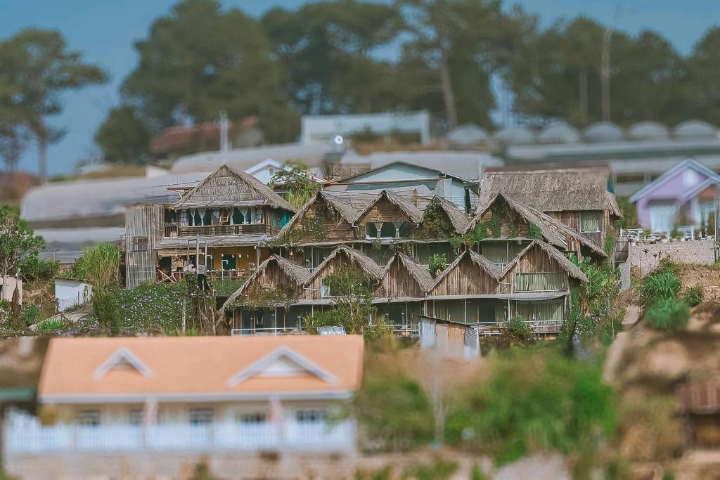 Mái Lá Homestay & Herbal Spa في دالات: نموذج لمنزل مع نباتات على أسطحه