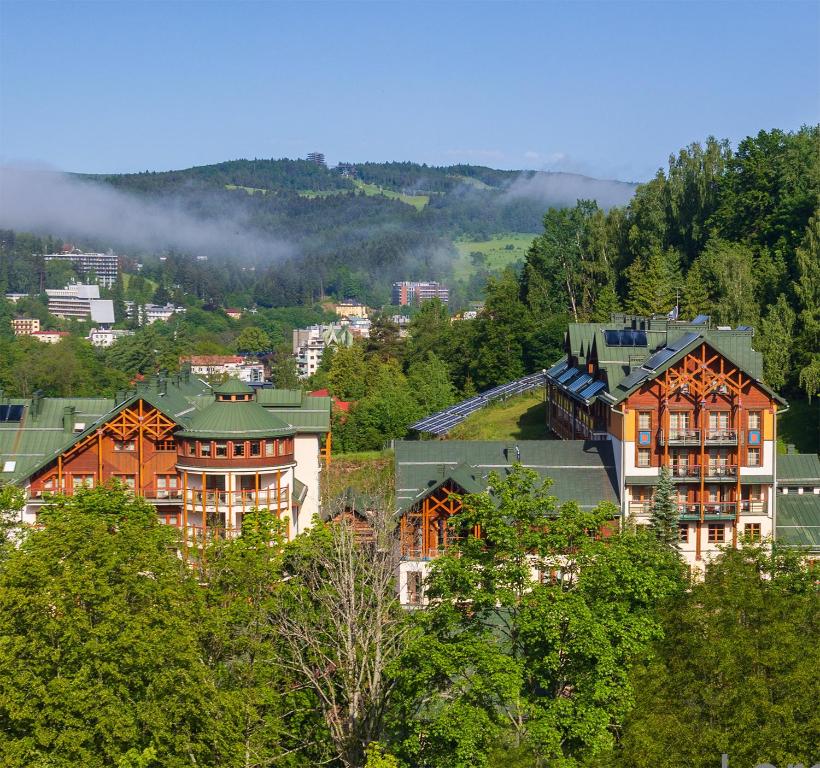 クリニツァ・ズドルイにあるHotel Mercure Krynica Zdrój Resort&Spaの木の集合