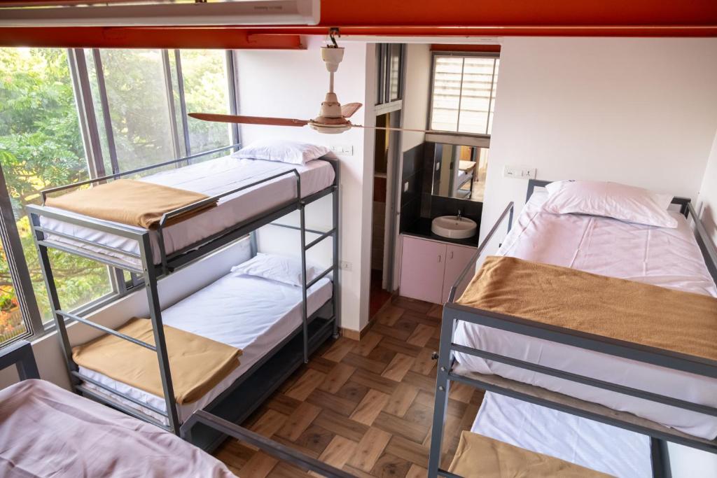 Stopover Backpackers Stay photo