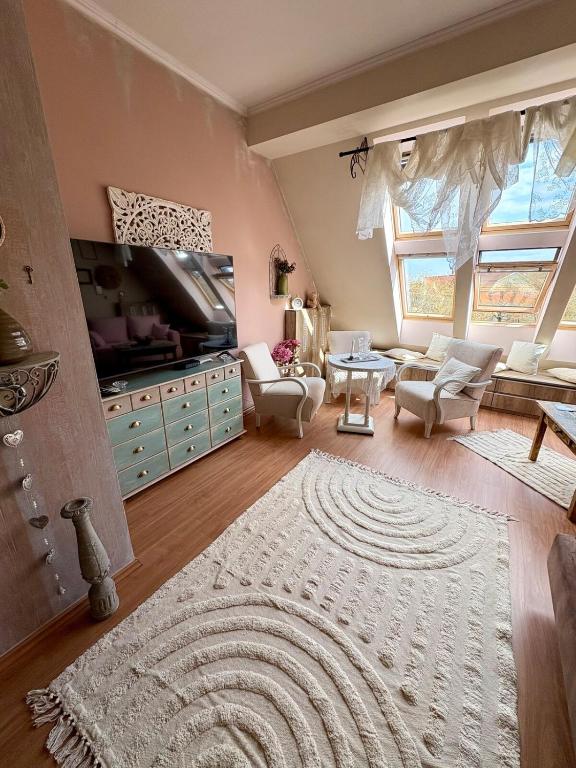 a living room with a television and a rug at Gold Moon Apartment in Kecskemét