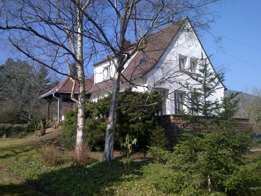 une maison blanche avec un arbre devant dans l'établissement Charming house Riquewihr, Alsace, à Riquewihr