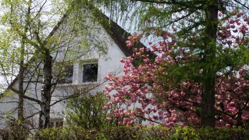 Charming house Riquewihr, Alsace – photo 25