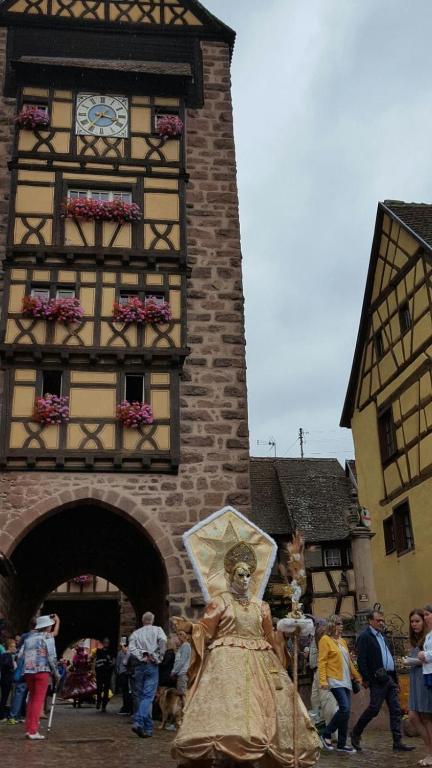 Charming house Riquewihr, Alsace – photo 26
