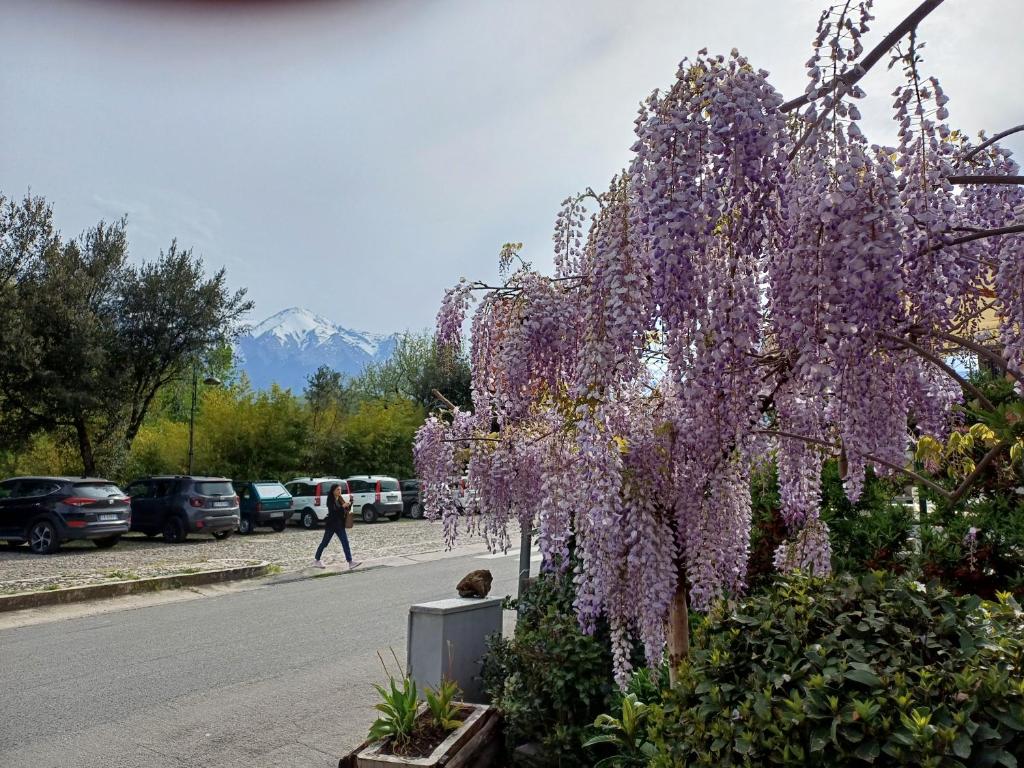 Gallery image of Agriturismo San GIovanni Ad Insulam in Isola del Gran Sasso dʼItalia