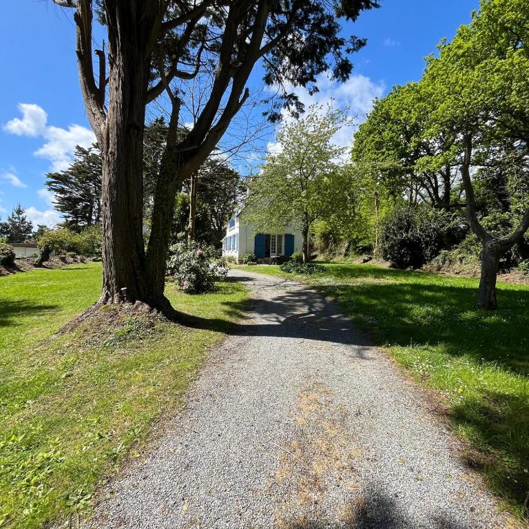 une route en gravier avec un arbre sur le côté dans l'établissement Détente à la mer Blanche, à Fouesnant