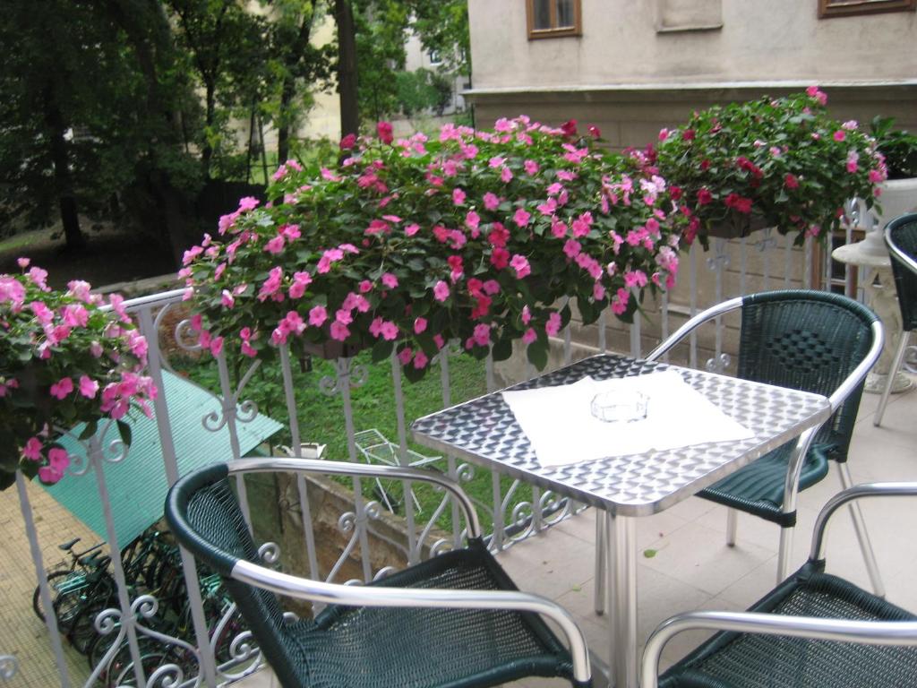 Zahrada ubytování Pension Ani-Falstaff