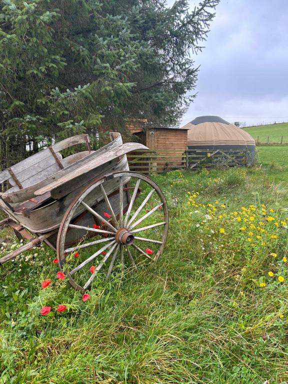 a wooden cart sitting in a field of flowers at Bracken Barns Glamping & Massage in Minishant