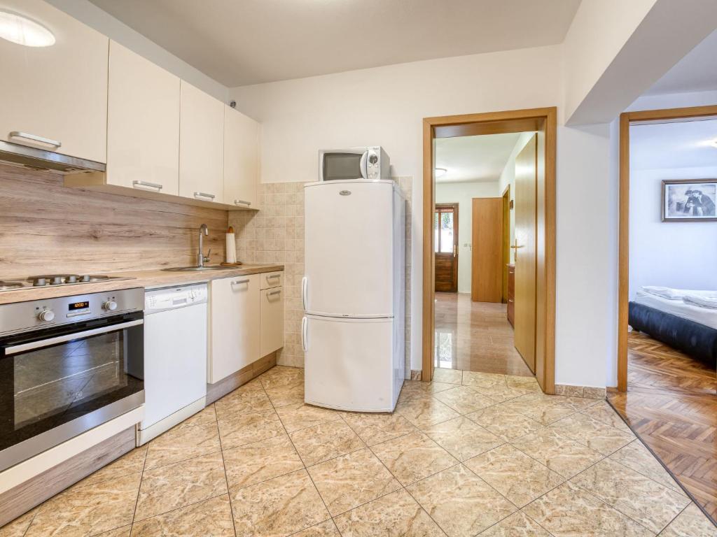 Kuchyňa alebo kuchynka v ubytovaní Apartment Albaneze by Interhome