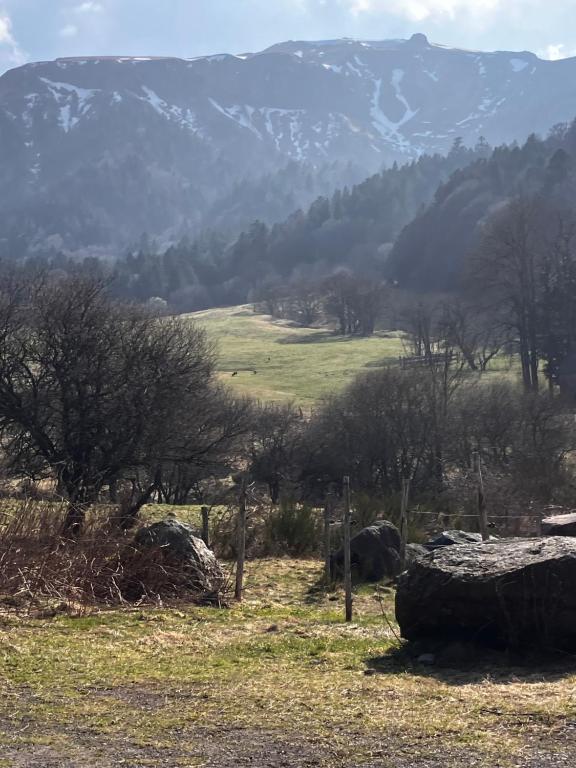 Príroda v okolí apartmánu