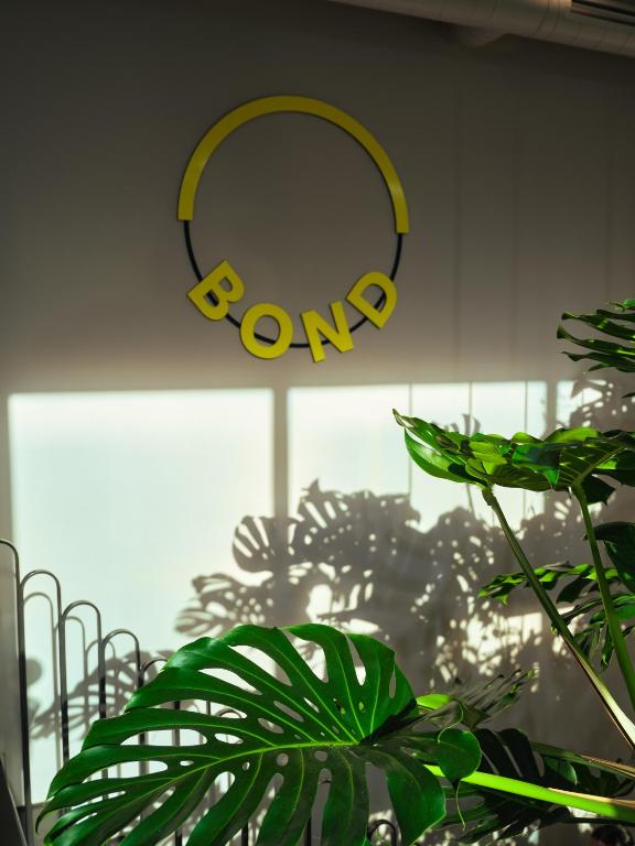 lyf East Frankfurt - Resim 15