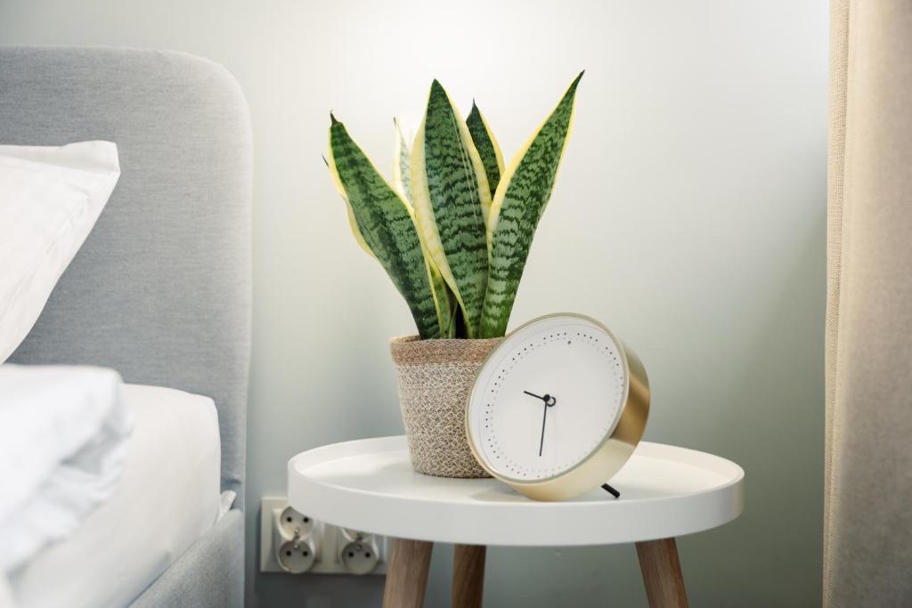 Apartament Szczerbowskiego A - 3